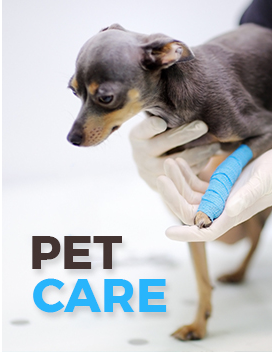 Animal and Pet care